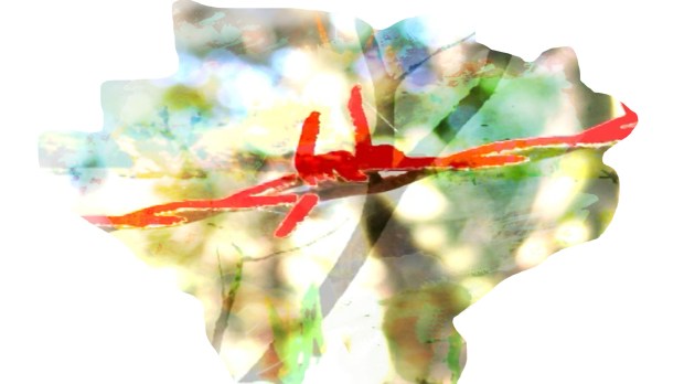 Frame dal video Altera Forma Urbis